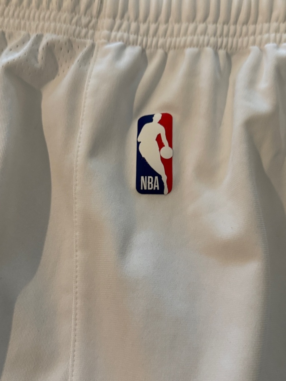 Jordan Charlotte Hornets On Court Player Shorts Nike 44 Pro Cut Game - Picture 8 of 13